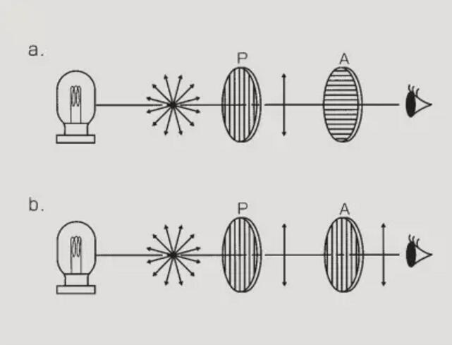 20171204-1462828414.jpg QQ截图20171204163324.jpg