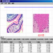 生物图像分析软件